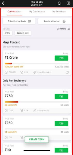 Know how to win in Fantasy Cricket
