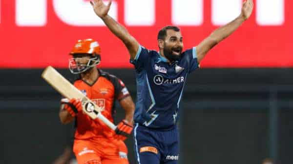 Highest Wicket-Taker of IPL 2023– Mohammed Shami