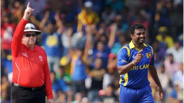 Most wickets in ODI World Cup– Muttiah Muralitharan