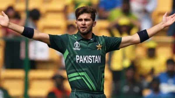 Highest Wicket Taker of World Cup 2023: Shaheen Afridi